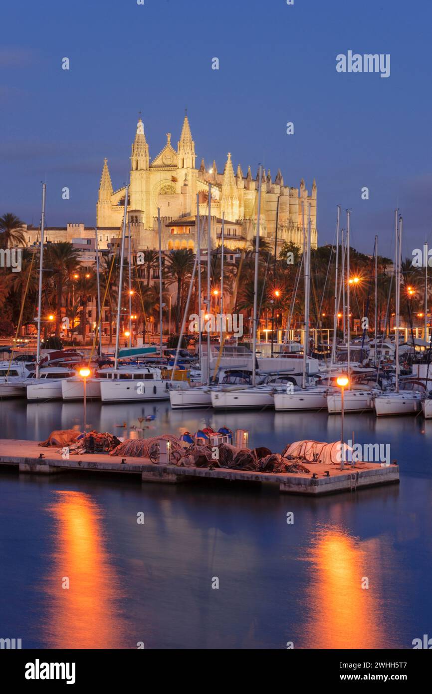 Cattedrale di Mallorca Foto Stock