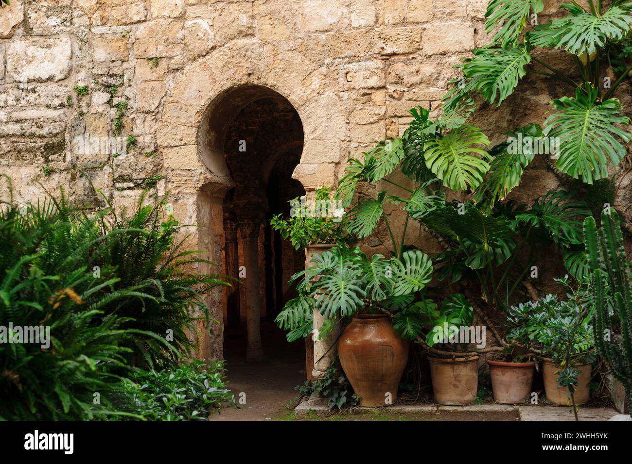 Tolo Balaguer Foto Stock