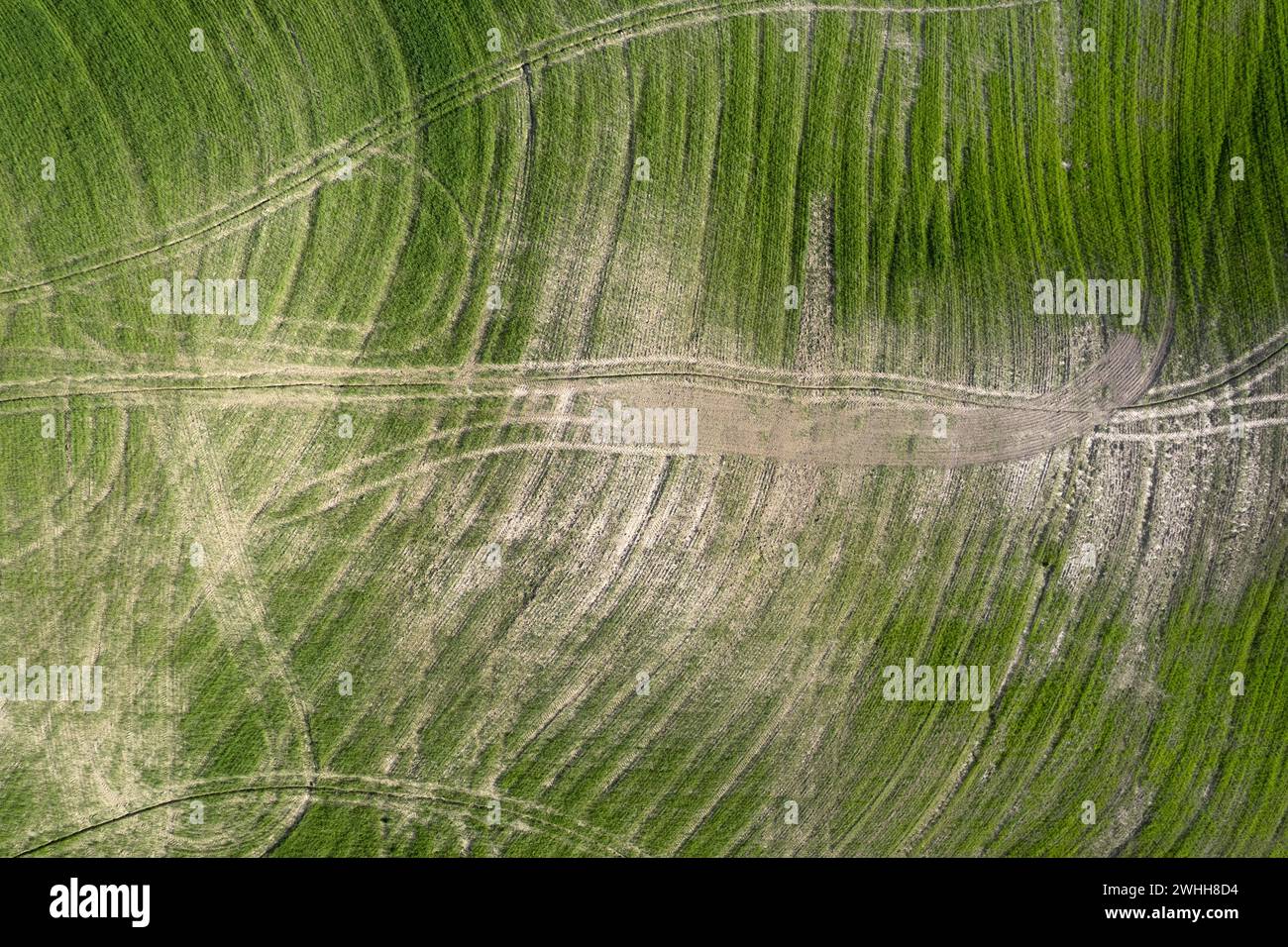 Disegni lasciati dopo aver lavorato la terra in Toscana Italia Foto Stock