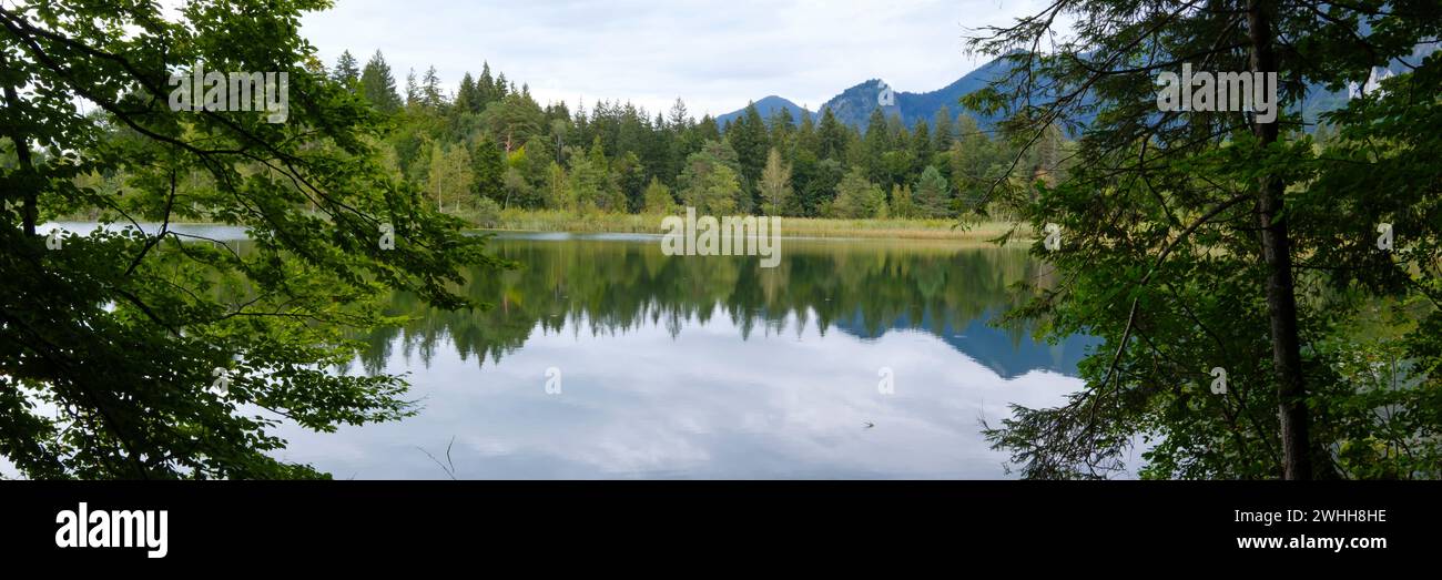 Paesaggio a Schwansea vicino Fuessen Foto Stock