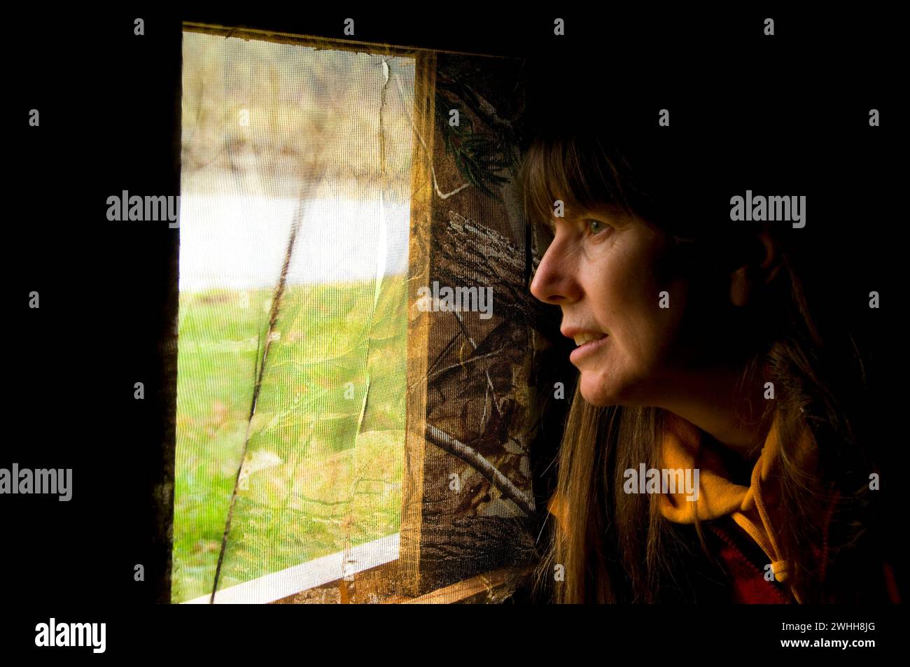 Foto cieco, William Finley National Wildlife Refuge, Oregon Foto Stock