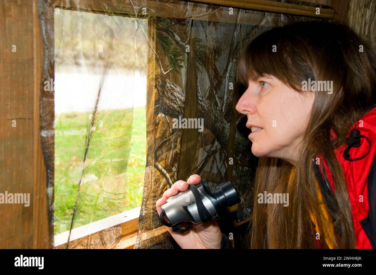 Foto cieco, William Finley National Wildlife Refuge, Oregon Foto Stock