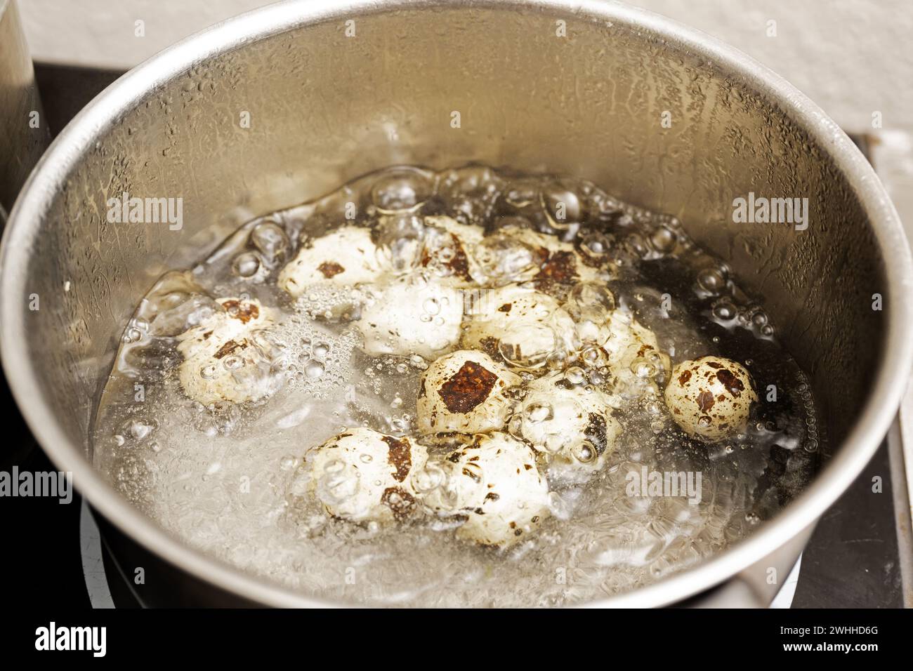 Le uova di quaglia vengono cotte in acqua bollente in una pentola di acciaio inossidabile di per un piatto gourmet, uno spazio per le copie e una messa a fuoco selezionata Foto Stock
