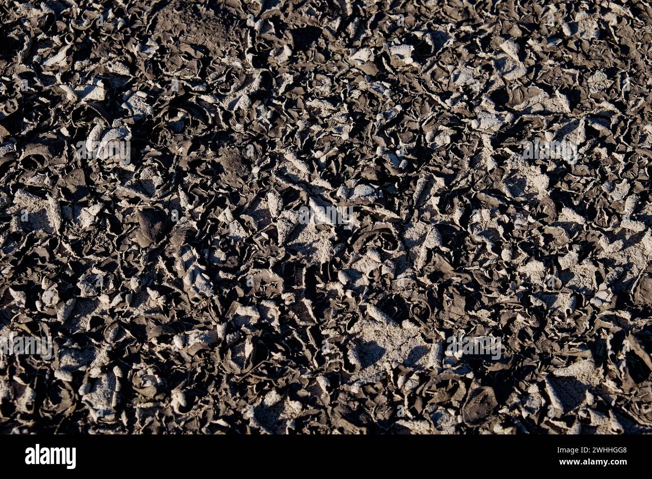L'immagine mostra una superficie coperta da terreno secco e frammentato con schemi intricati formati da crepe. Foto Stock