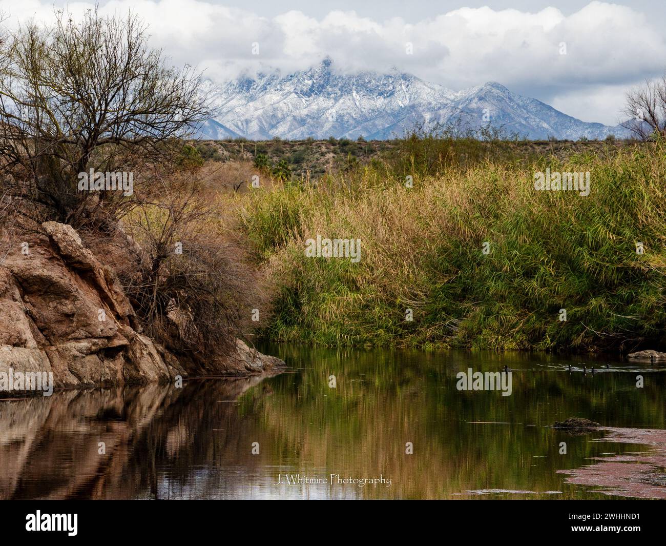 Il deserto di Sonora in inverno offre un clima più fresco alla metropolitana di Phoenix, Arizona e occasionalmente nevicate sulle cime circostanti. Foto Stock
