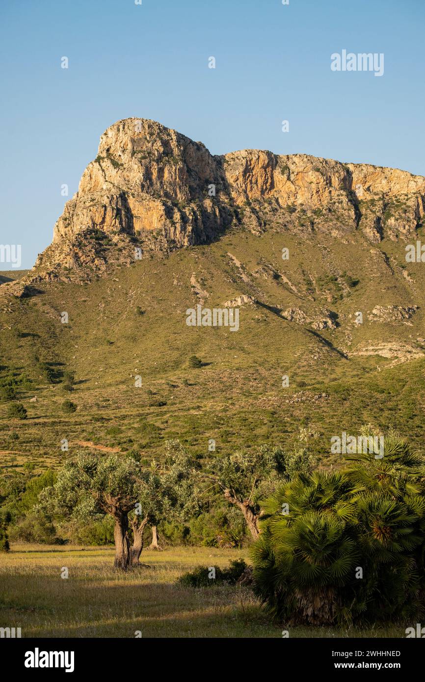 Parco naturale della penisola di Llevant Foto Stock