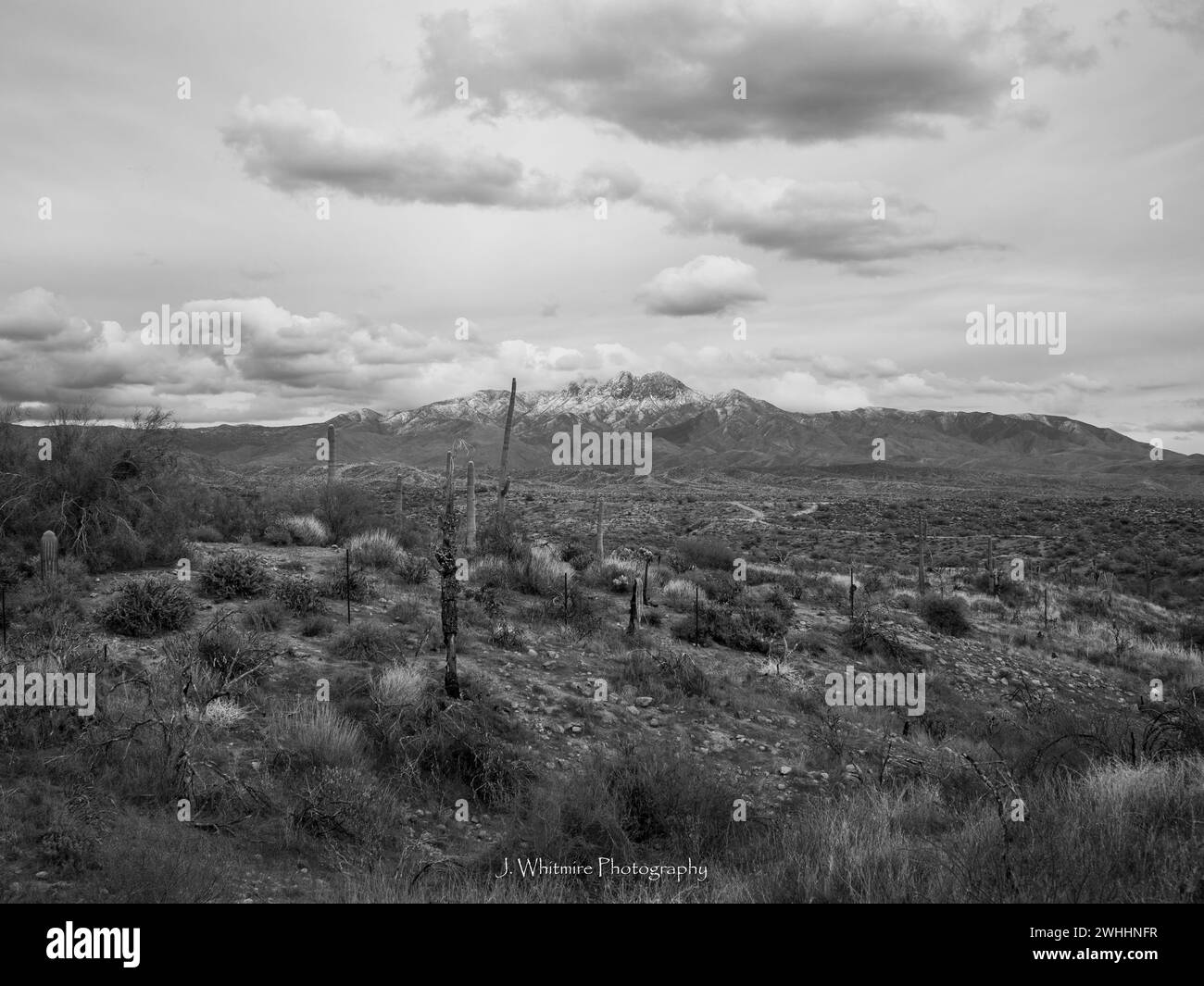 Il deserto di Sonora in inverno offre un clima più fresco alla metropolitana di Phoenix, Arizona e occasionalmente nevicate sulle cime circostanti. Foto Stock