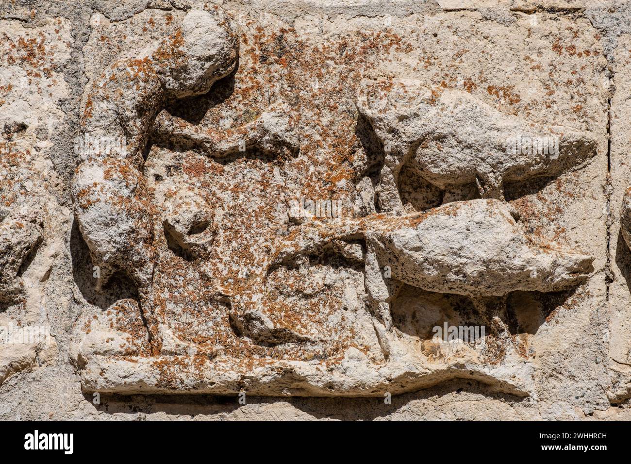 Semina in cui l'agricoltore utilizza un aratro romano disegnato da due buoi Foto Stock