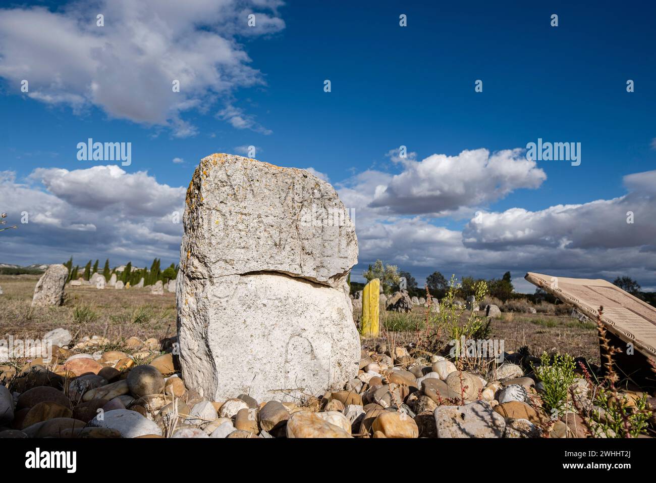 Stele funeraria Vacceos Foto Stock
