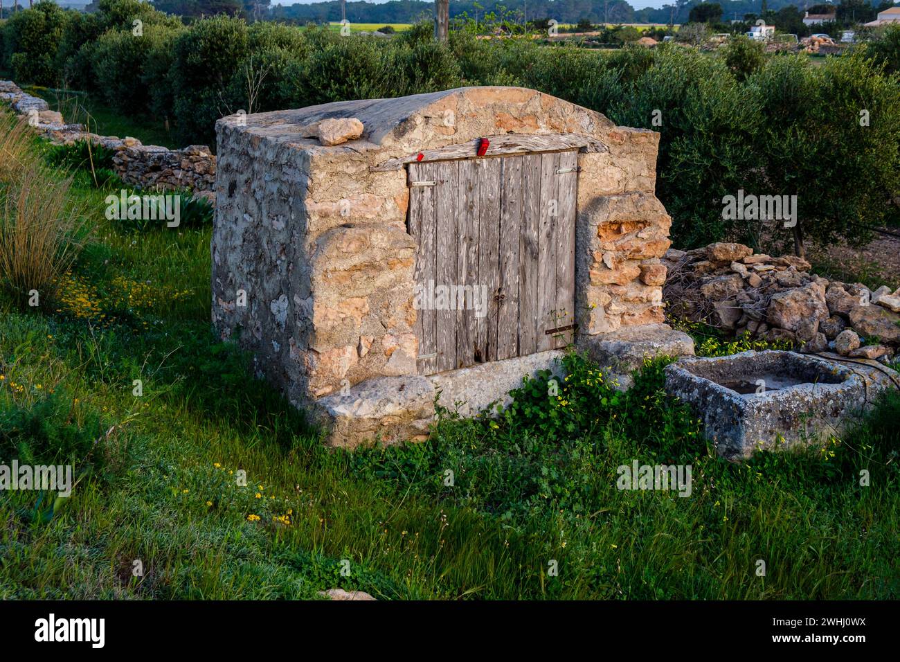 Cisterna tradizionale Foto Stock
