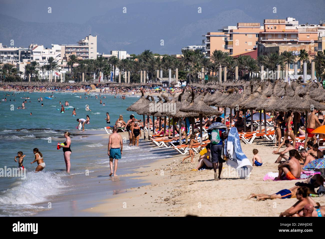 El Arenal spiaggia Foto Stock