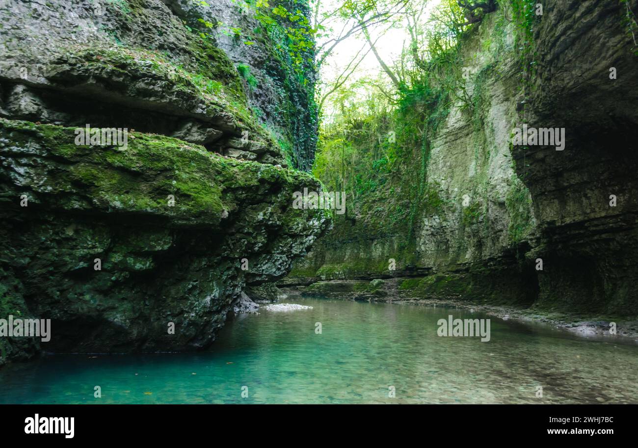 Fiume sulle montagne con piante verdi in Georgia Foto Stock