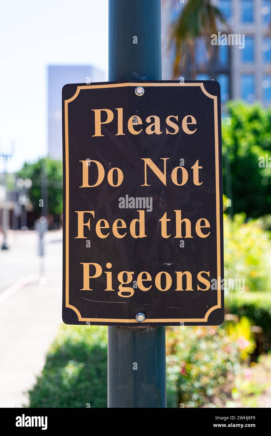 Una foto ravvicinata di un cartello marrone con la scritta "Please do not feed the Pigeons" (si prega di non dare da mangiare ai piccioni). Foto Stock