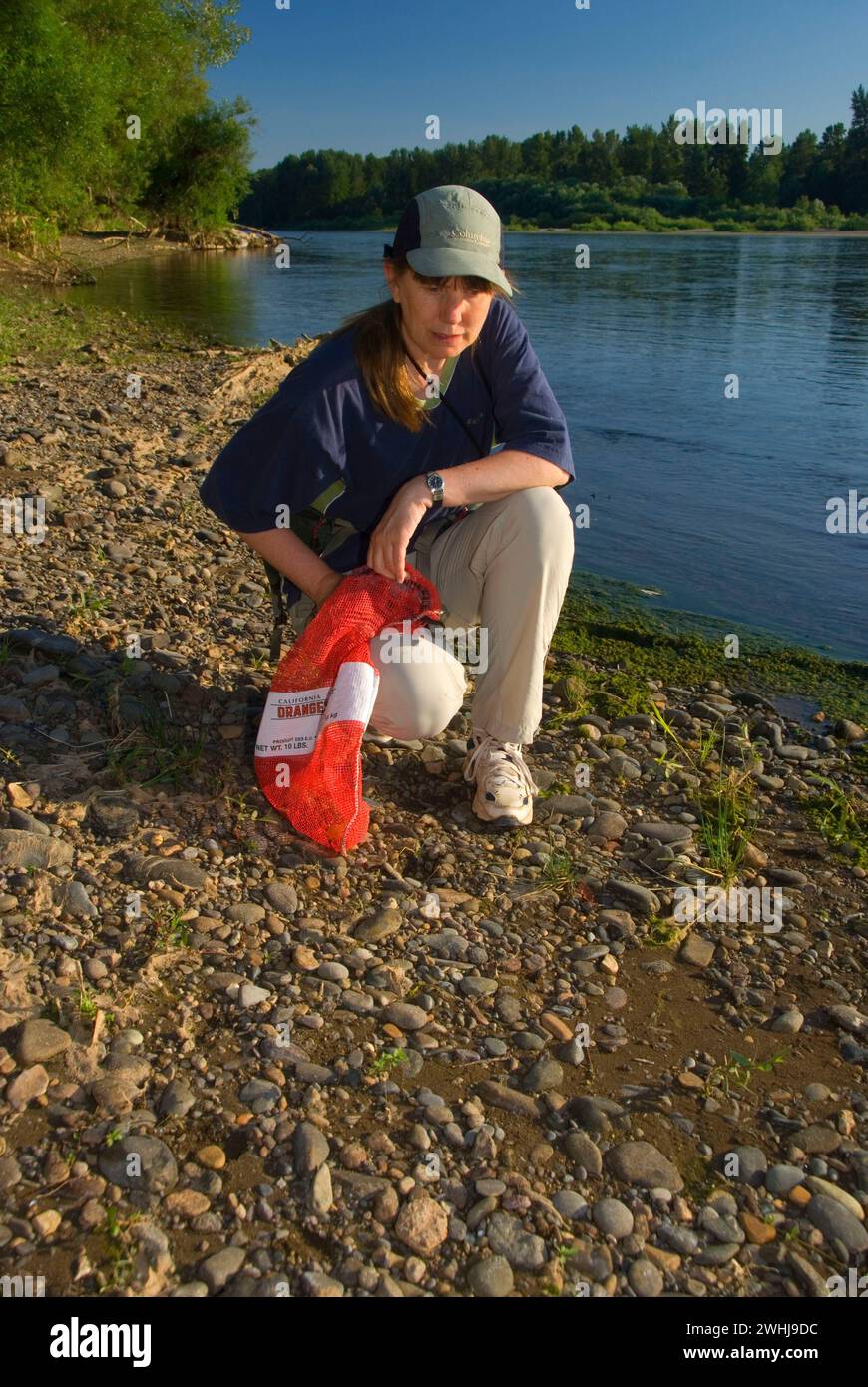 Raccolta di rocce al bar del fiume Willamette, al Willamette Mission State Park, Oregon Foto Stock