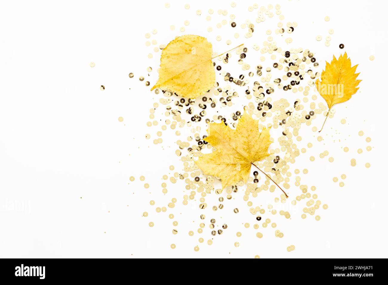 Foglie gialle e scintille dorate su sfondo bianco. Concetto di vacanza autunnale Foto Stock