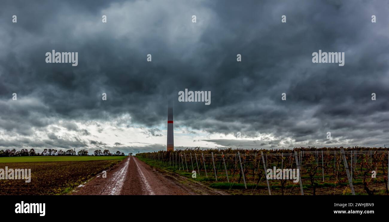 Tempesta sul vigneto. Le nuvole scure si stanno radunando, terreni agricoli con turbine eoliche. le nuvole di tempesta si riuniscono Foto Stock