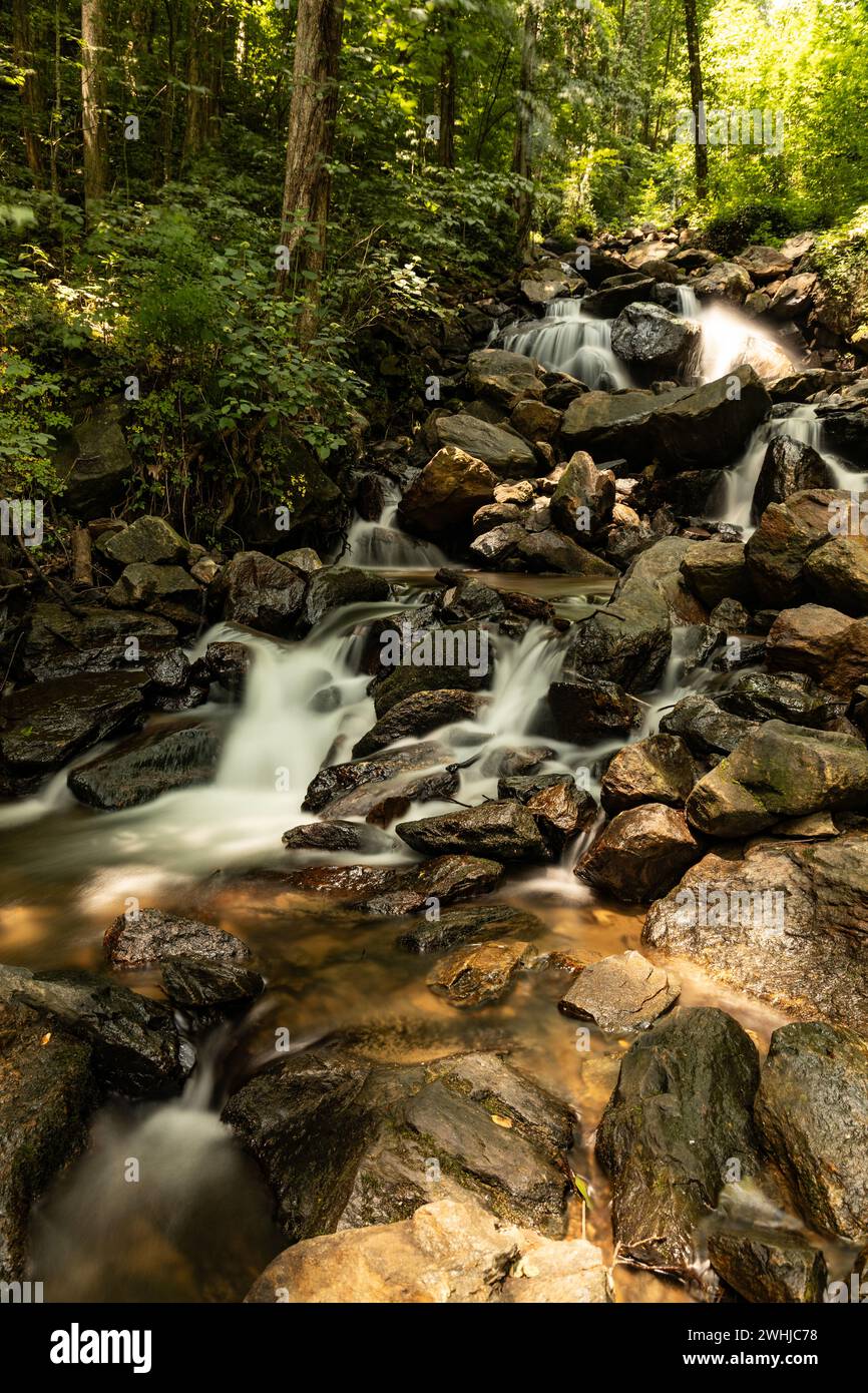 Cascata nel parco statale di Amicalola in Georgia Foto Stock