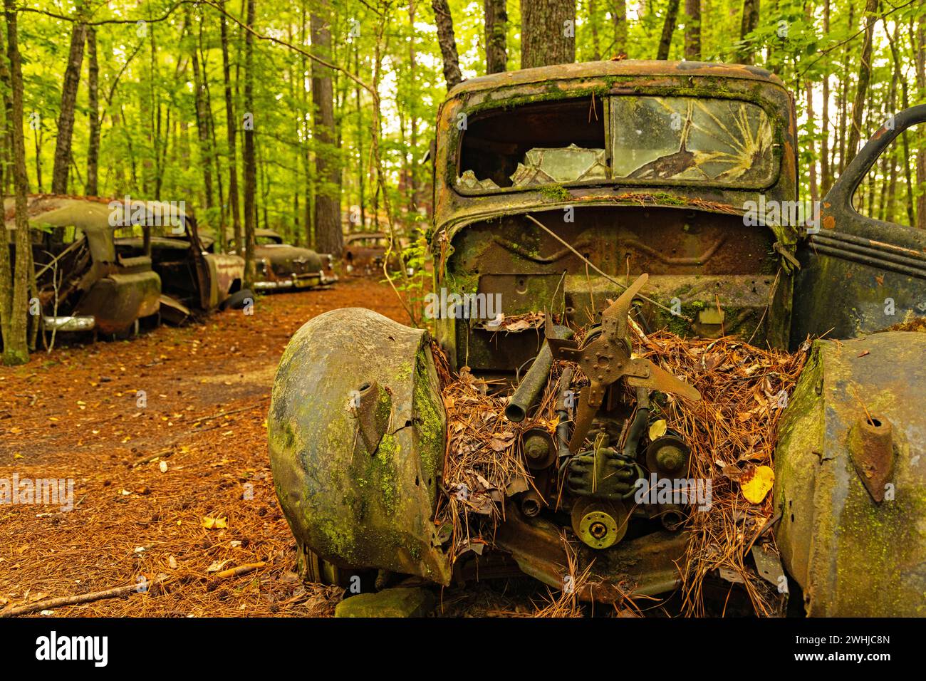 Una vecchia auto in rovina in una foresta Foto Stock