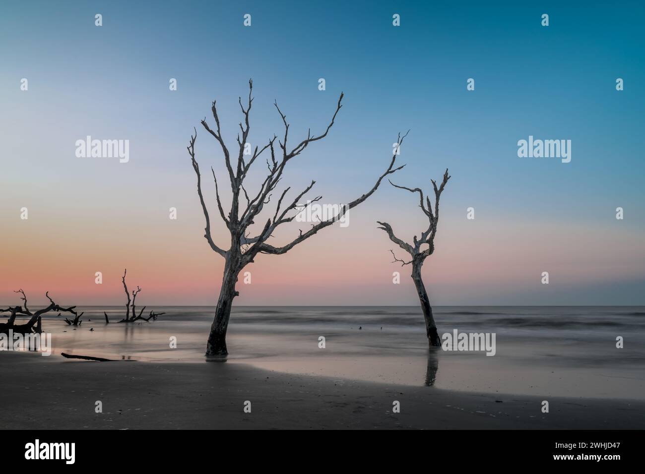 Paesaggio marino meditativo con albero morto e palude al sorgere del sole Foto Stock