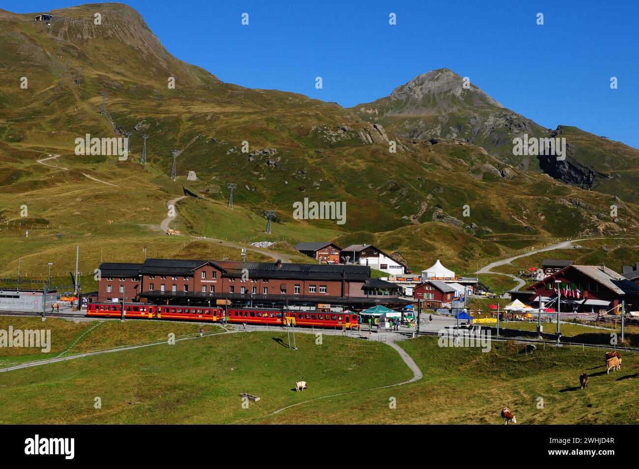 Die Jungfraujoch Bahn auf der Kleine Scheidegg am Fusse von Eiger | il treno Jungfraujoch al Kleine Scheidegg ai piedi delle montagne dell'alpe svizzera Foto Stock