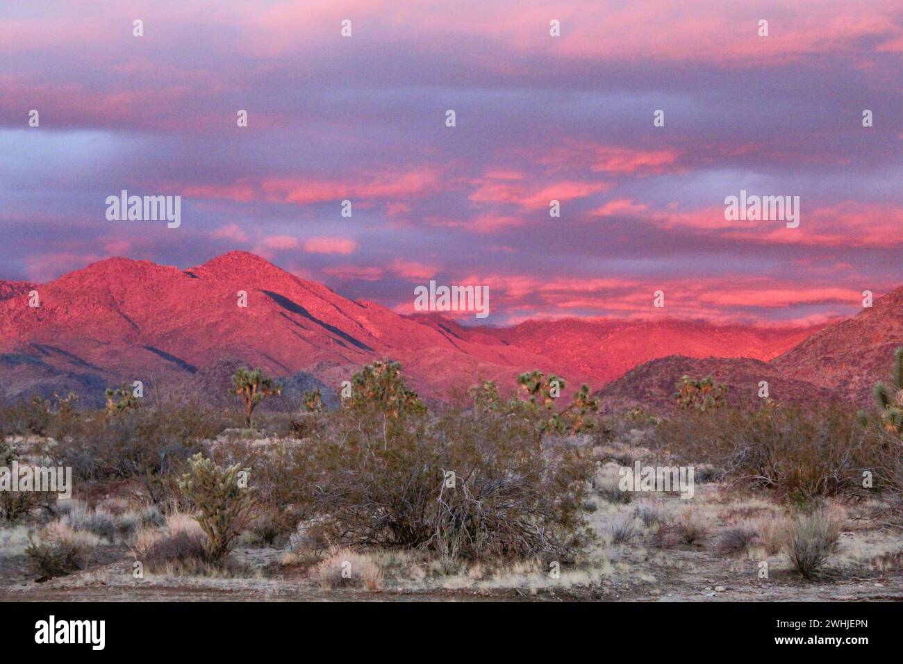Winterstorm sulle montagne di Hualapai, contea di Mohave, Arizona Foto Stock