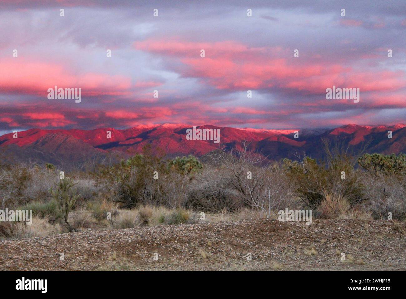 Winterstorm sulle montagne di Hualapai, contea di Mohave, Arizona Foto Stock