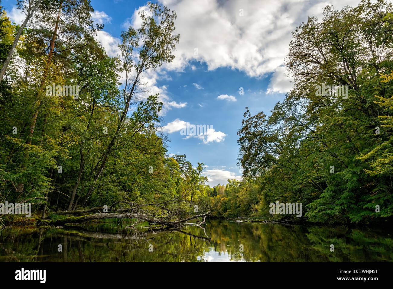 Krutynia in Masuria in Polonia Foto Stock Krutynia in Masuria in Polonia Foto Stock