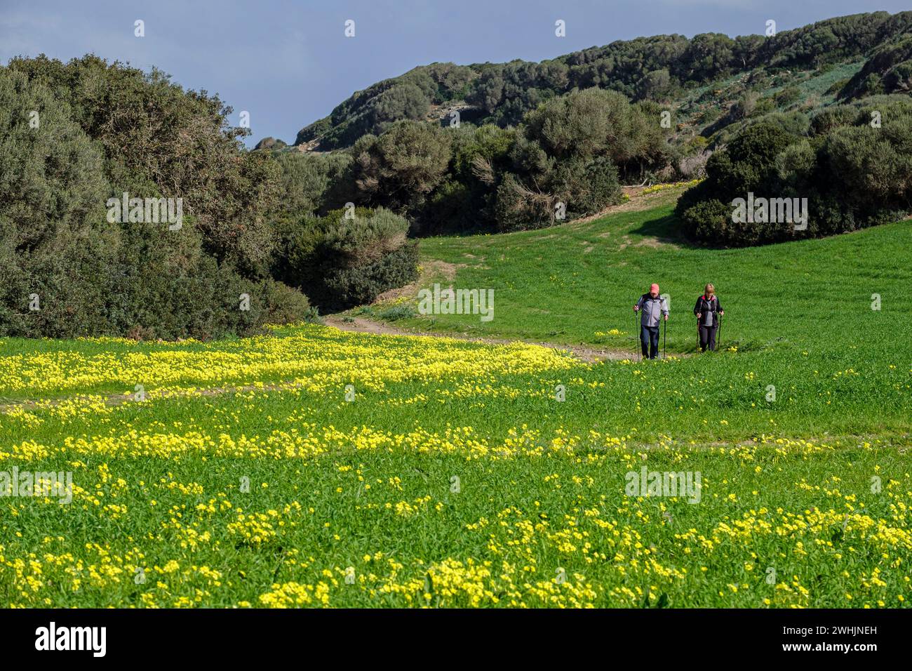 Escursionista a piedi il percorso a cavallo Foto Stock