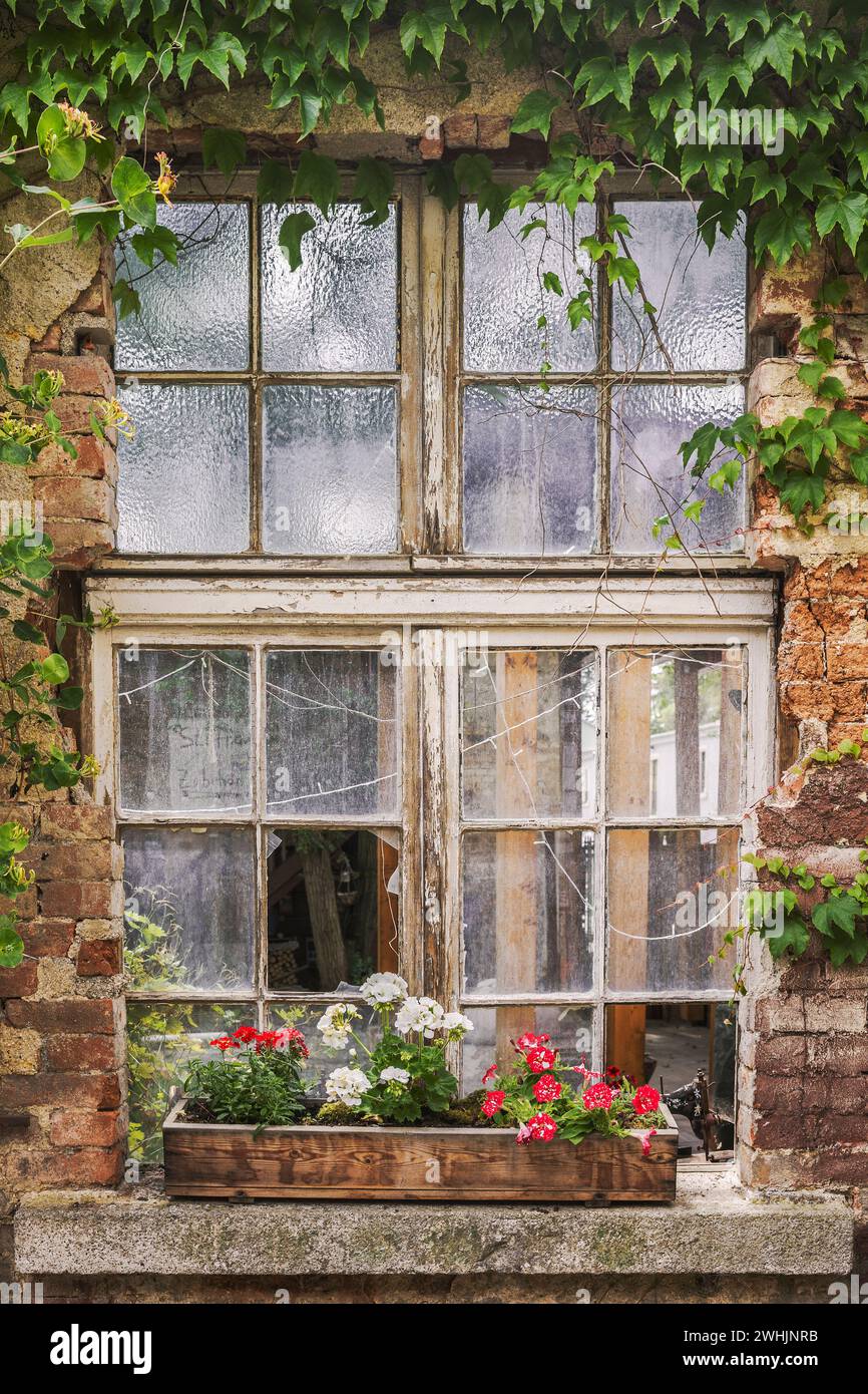 Vecchia finestra con fiori Foto Stock