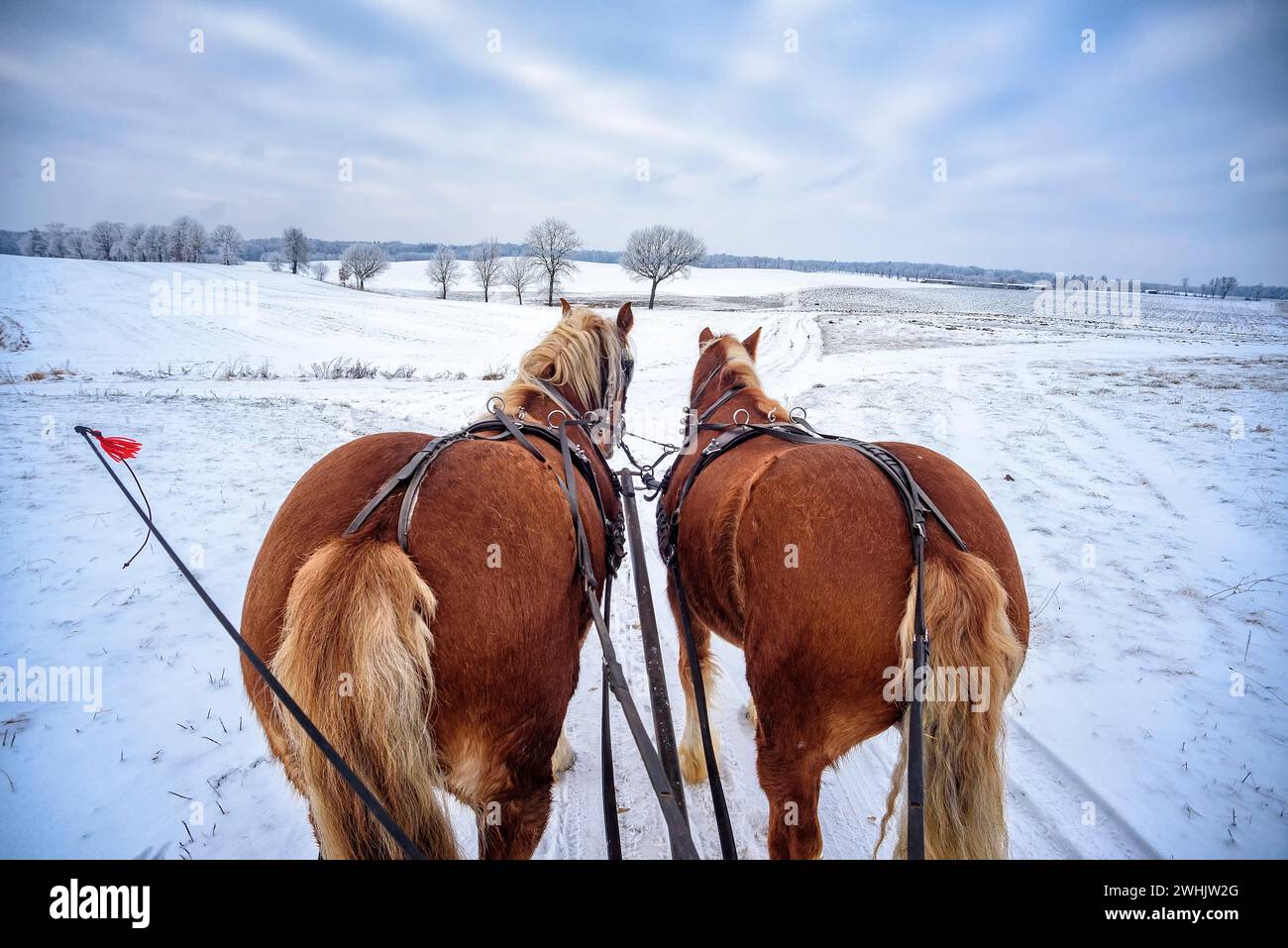 Giro in slitta a Masuria Foto Stock