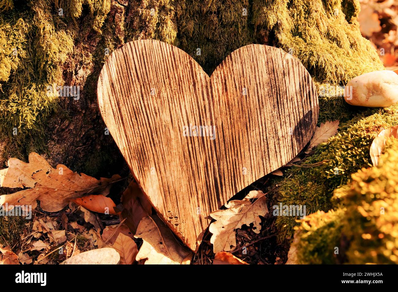 Simpatia funeraria del cuore o cuore funerale di legno vicino ad un albero. Tomba di sepoltura naturale nella foresta. Foto Stock