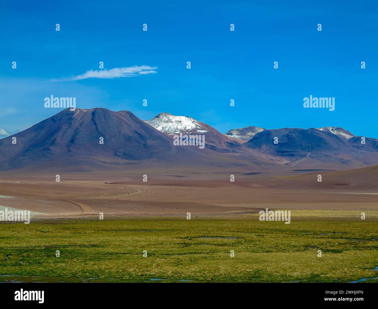 Vista del deserto di Atacama a nord del Cile Foto Stock