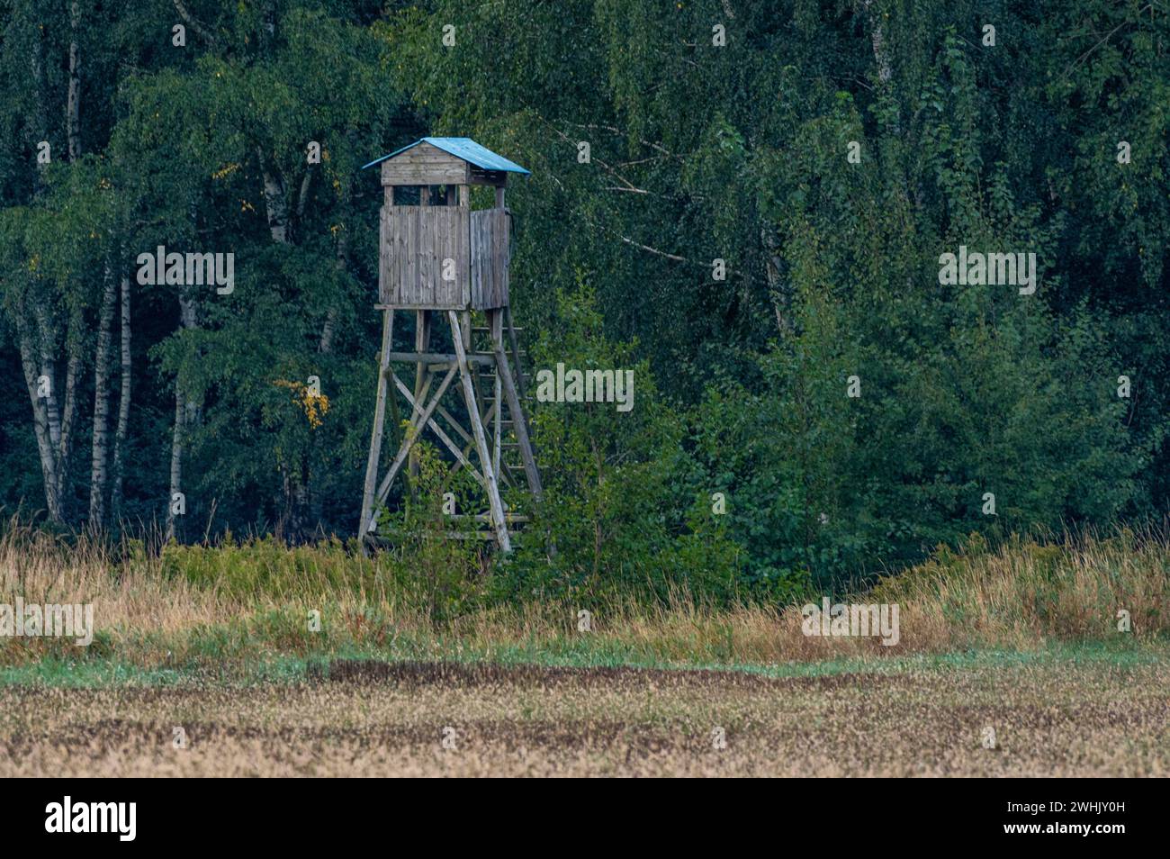 Una vista panoramica di un pulpito di caccia in legno in un campo con alberi ed erba sullo sfondo Foto Stock