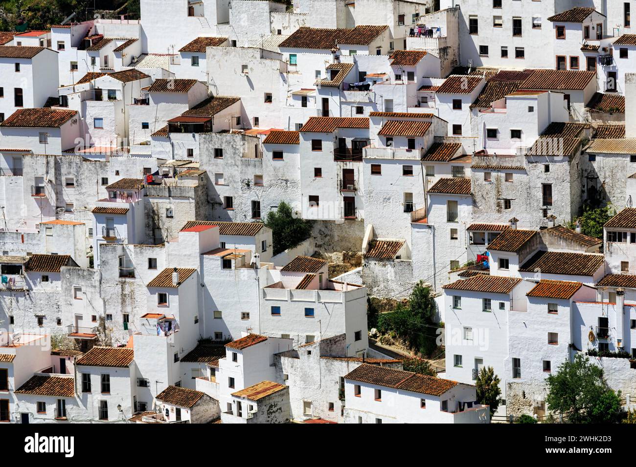 Tipico villaggio bianco di Casares, case in collina, primo piano, percorso dei villaggi bianchi, Malaga, Andalusia, Spagna Foto Stock