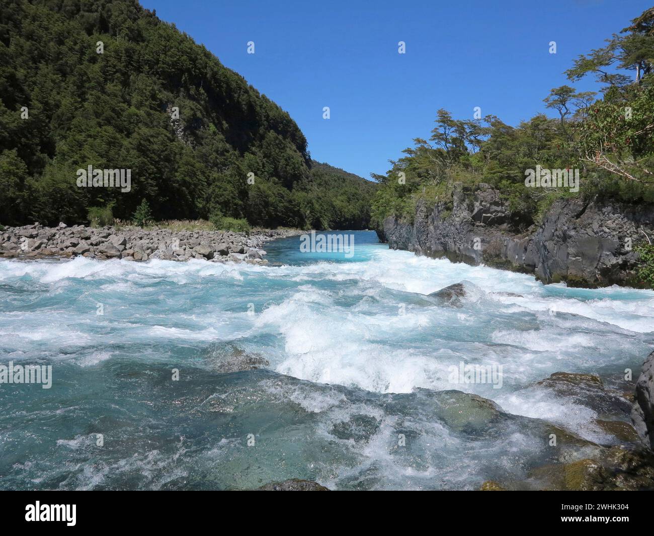 Vista del fiume sul Parco Nazionale Vicente Perez Rosales in Cile, Sud America Foto Stock