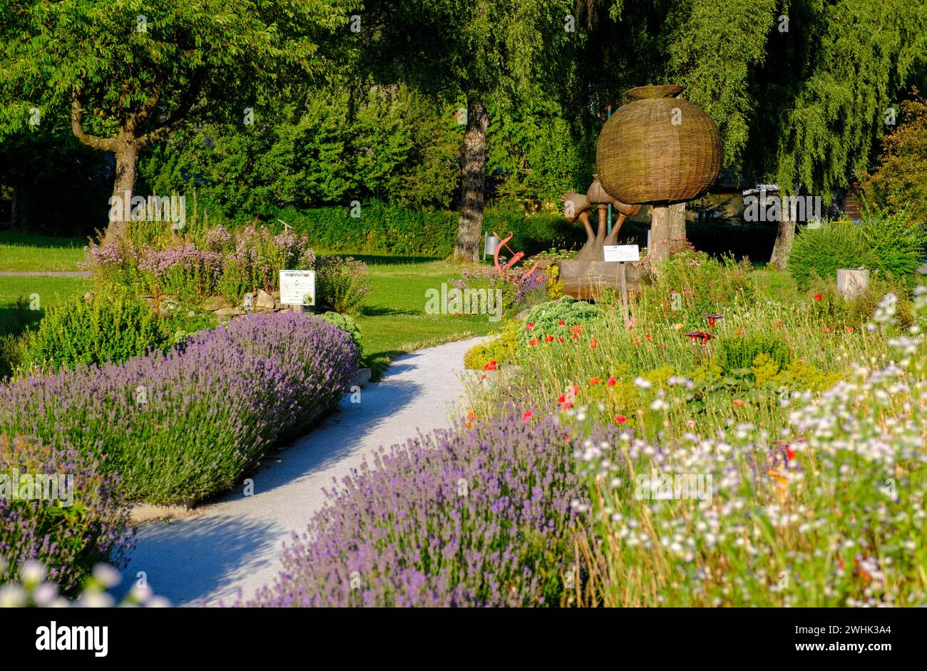 Giardino delle erbe, giardino dei papaveri, papavero grigio Waldviertel, villaggio dei papaveri Armschlag, Waldviertel, bassa Austria, Austria Foto Stock
