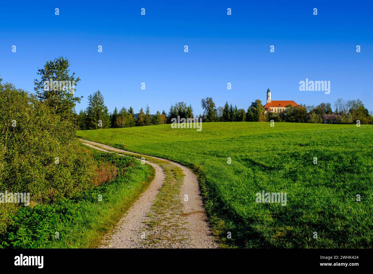 Monastero di Reutberg, Sachsenkam, terra di Toelzer, colline alpine, alta Baviera, Baviera, Germania Foto Stock