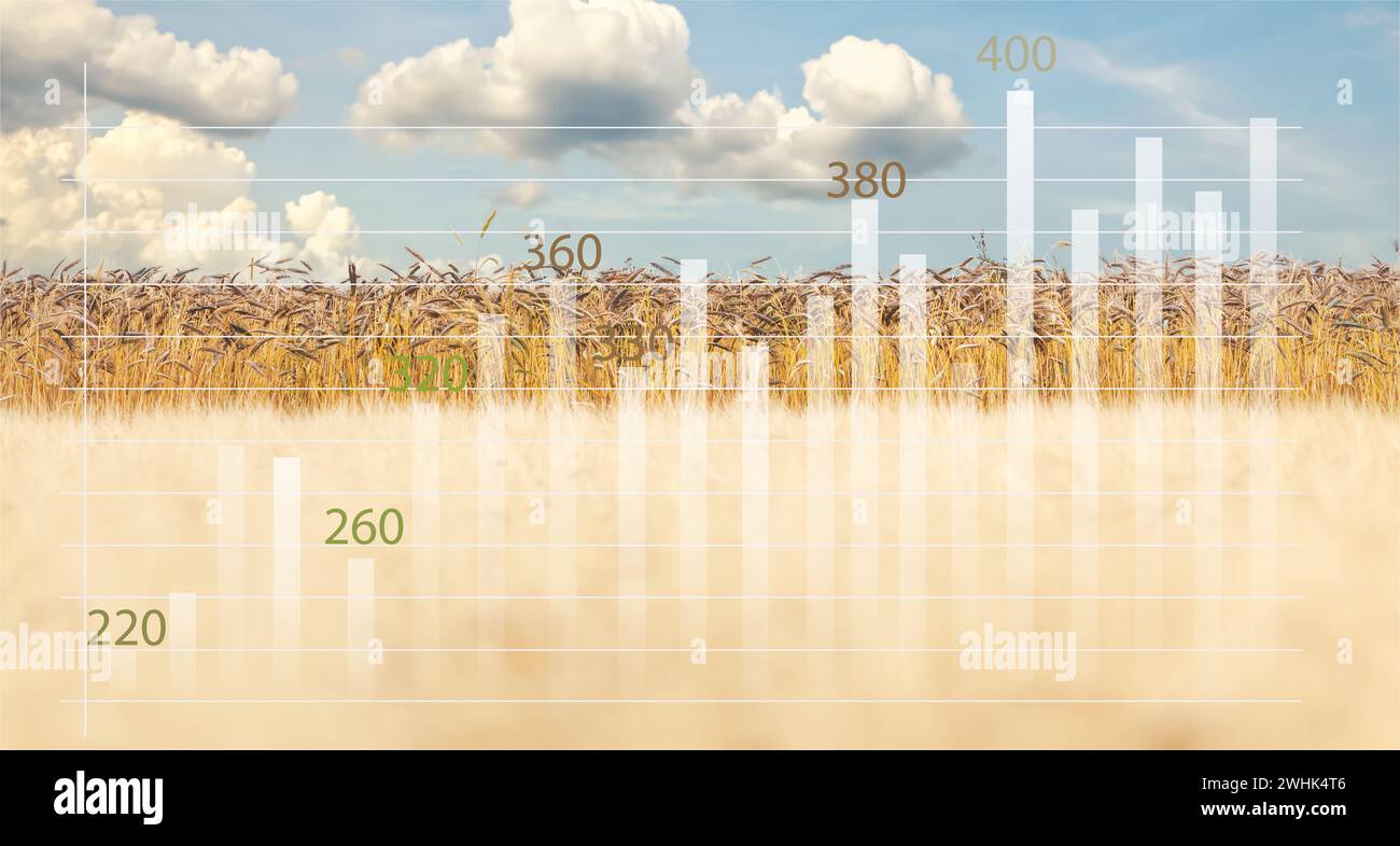 Aumento della crisi globale dei prezzi del grano e della farina. Dati analitici e grafici di crescita Foto Stock