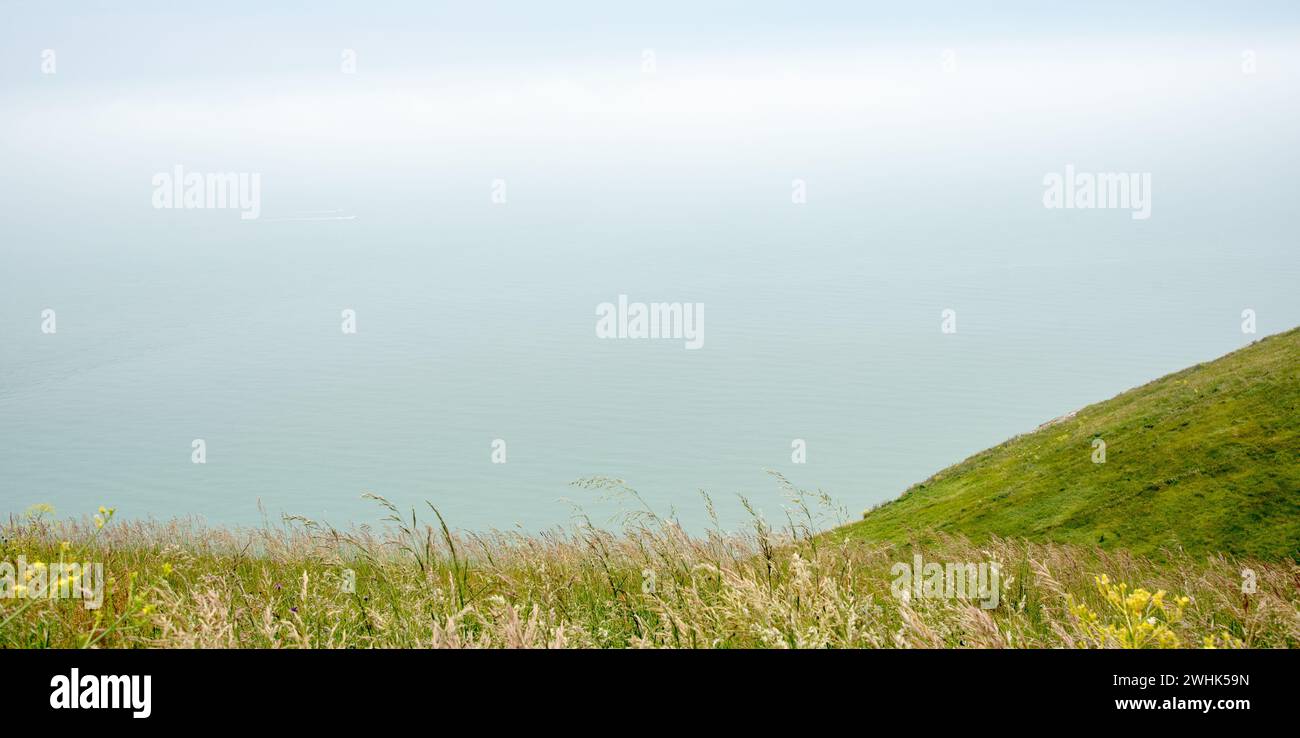 Paesaggio naturale di sfondo con piante verdi sopra l'oceano. Foto Stock