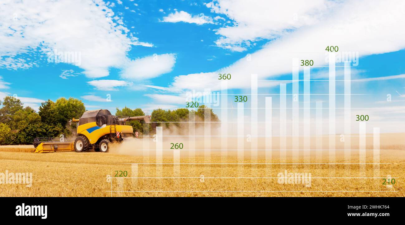 Crisi globale del grano e del grano. Dati analitici e grafici di crescita. Grafico a penna per candele aziendali. Foto Stock