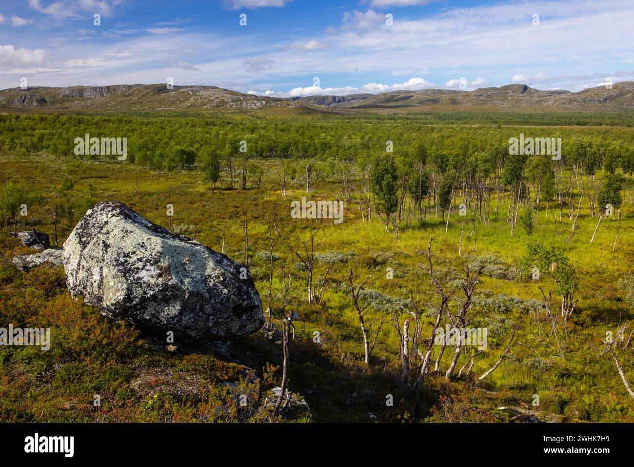 Landscape, Norvegia, Tundra, vicino a Kirkenes Foto Stock