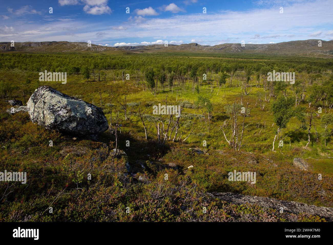 Landscape, Norvegia, Tundra, vicino a Kirkenes Foto Stock