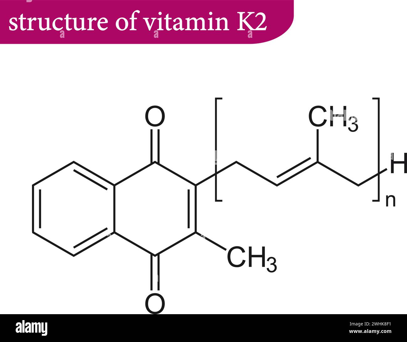 Illustrazione della struttura generale della vitamina K2 .Vector. Illustrazione Vettoriale