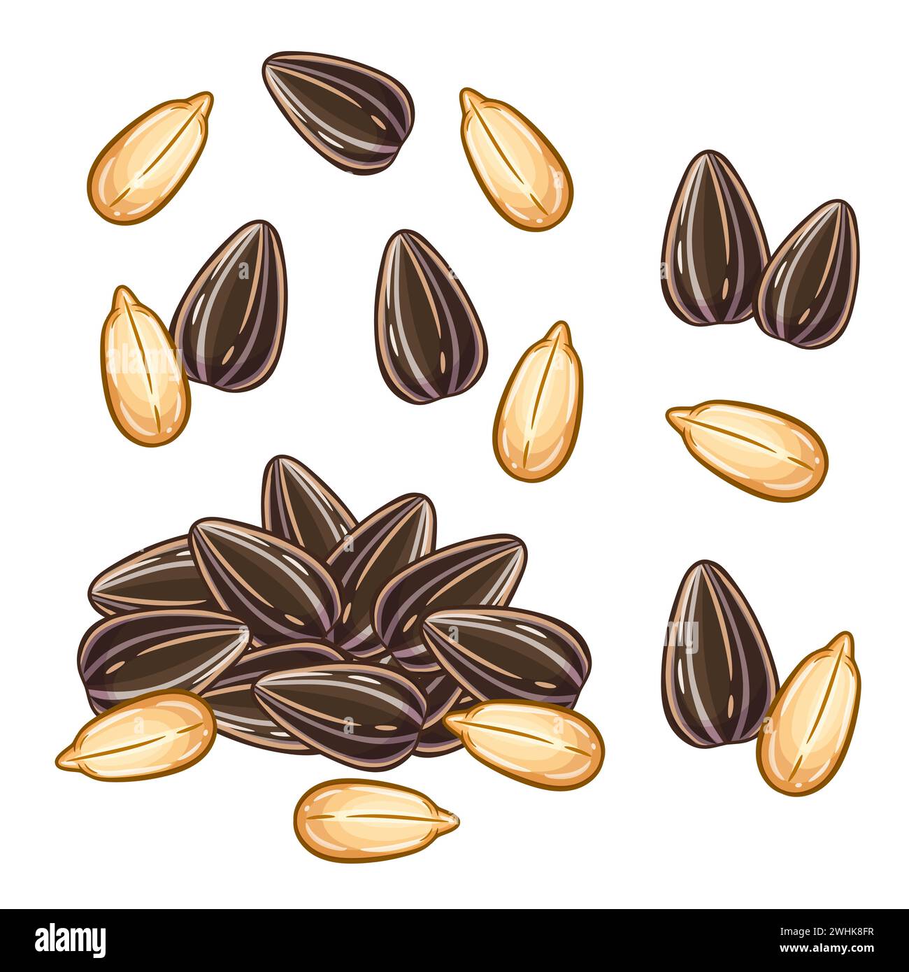 I semi di girasole arrostiti fanno spuntini, cospargono il nocciolo di piante di fiori di sole in conchiglia o insieme di icone sbucciate. Accatastare il grano fresco. Vettore ingrediente alimentare con olio vegetale Illustrazione Vettoriale