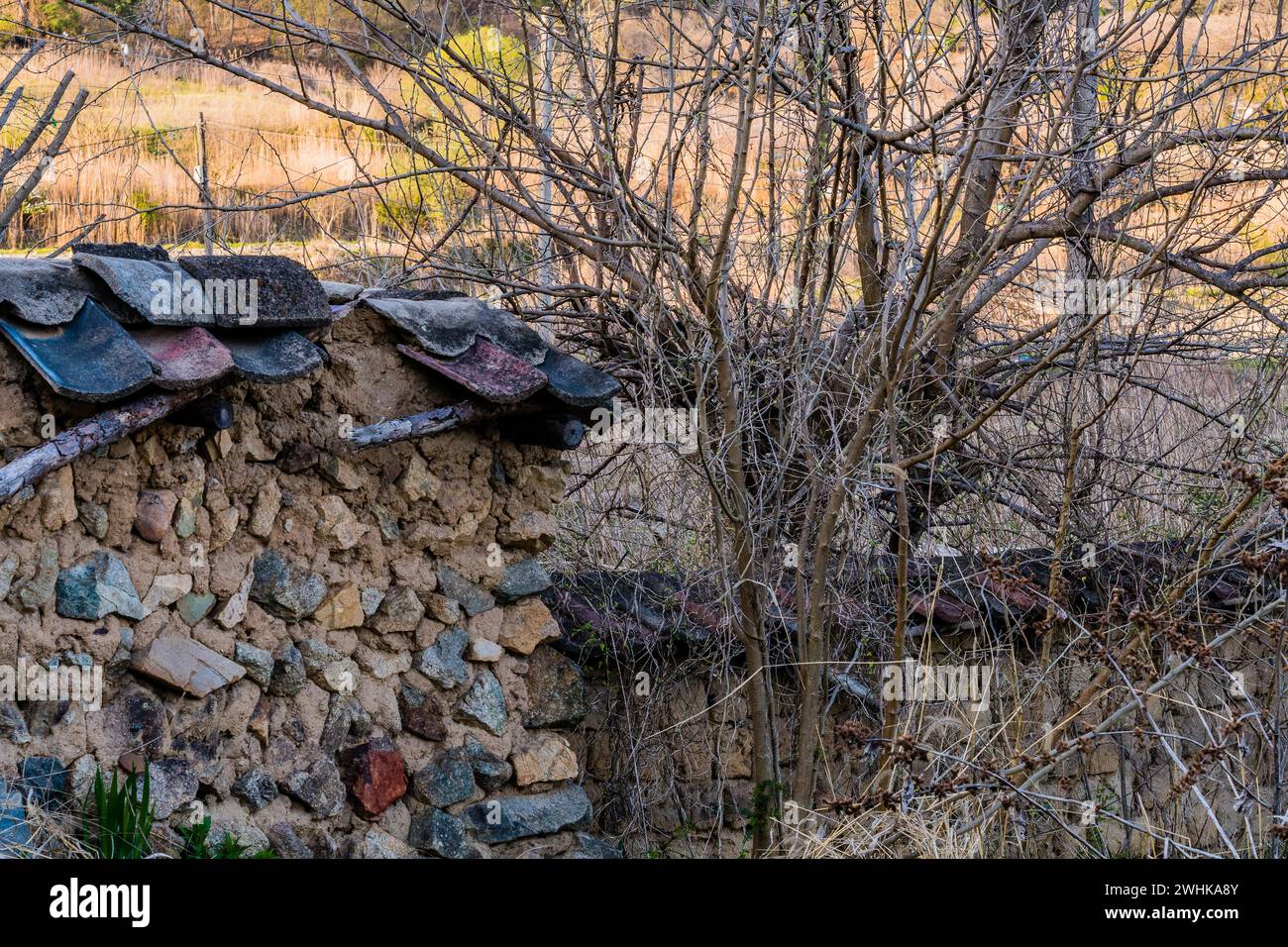 Muro in mattoni di fango con tetto in piastrelle nere caduto in stato di rovina nell'area boschiva della Corea del Sud Foto Stock
