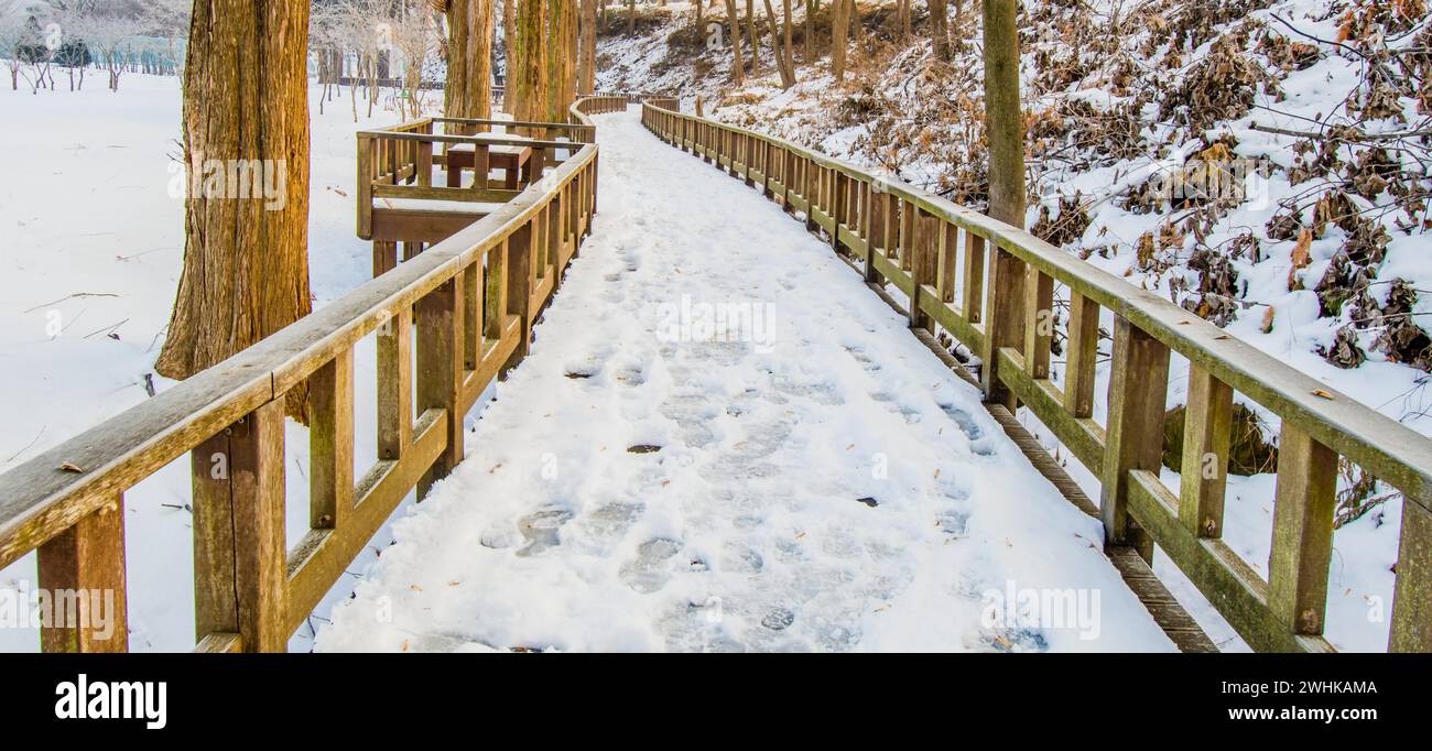 Passerella in legno coperta da parco pubblico innevato. Parcheggia la panchina sul passaggio pedonale fiancheggiato da alberi in una mattina nevosa Foto Stock