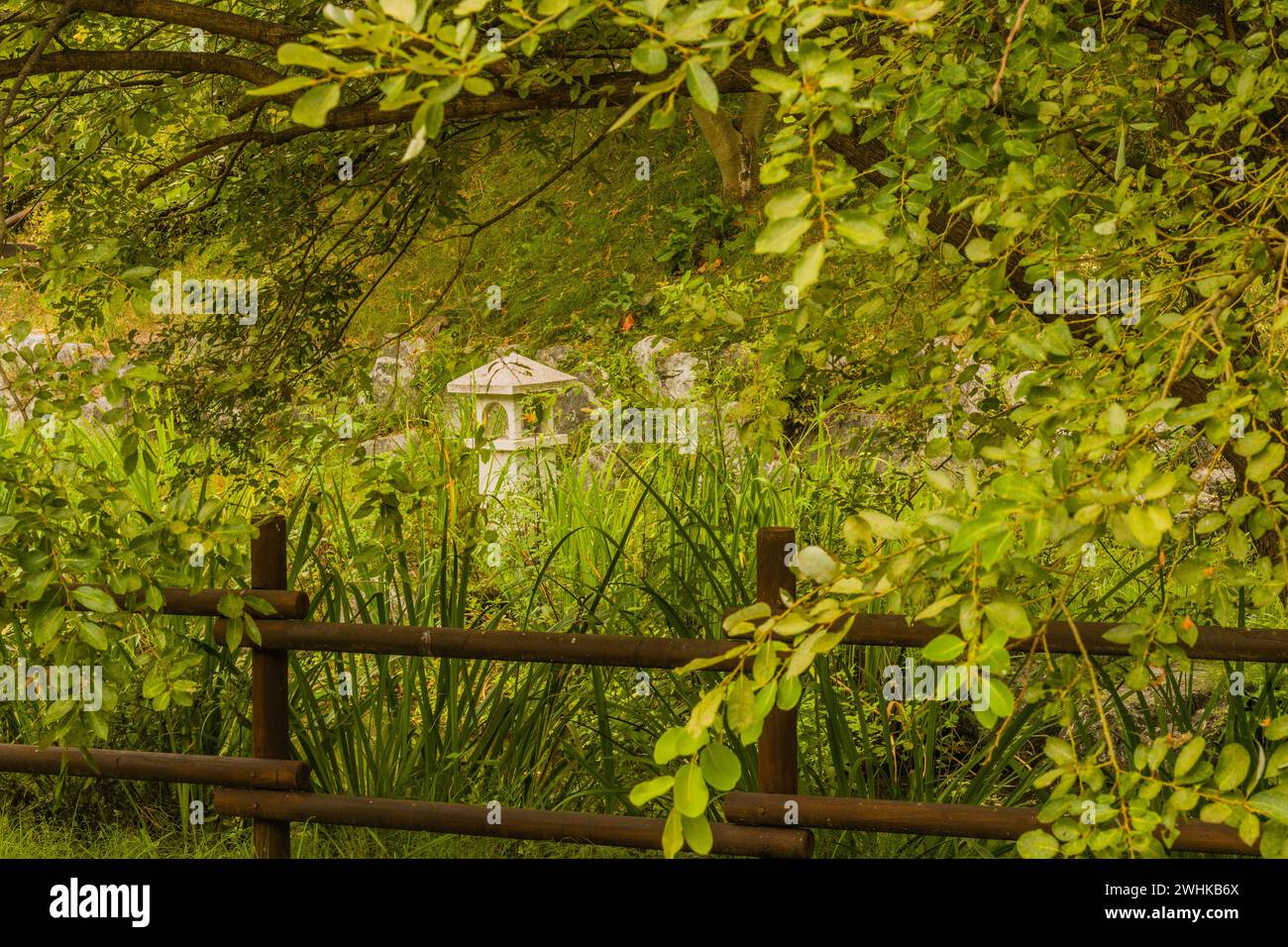 Lanterna in cemento nel parco di pube boschive dietro una recinzione di legno nascosta da una vegetazione lussureggiante e da un basso ramo di alberi appesi in Corea del Sud Foto Stock