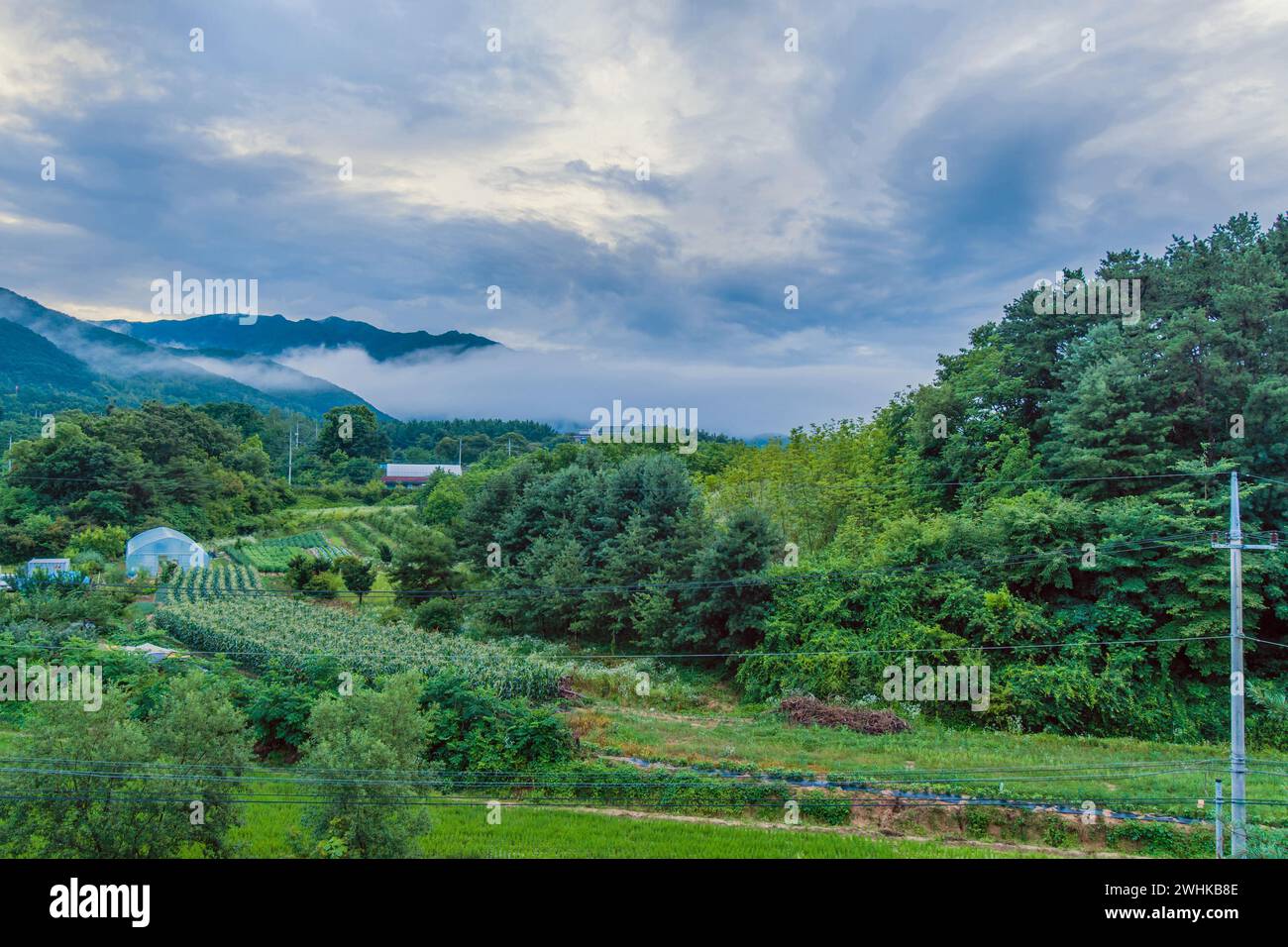 Paesaggio di campagna rurale con nebbia che rotola sulle montagne e cielo nuvoloso scuro in Corea del Sud Foto Stock