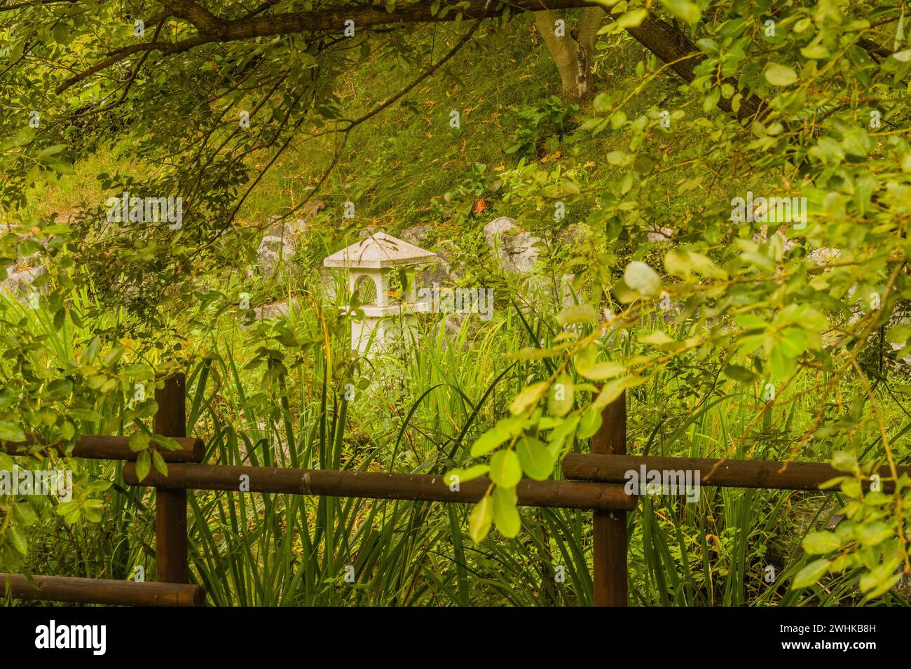 Lanterna in cemento nel parco di pube boschive dietro una recinzione di legno nascosta da una vegetazione lussureggiante e da un basso ramo di alberi appesi in Corea del Sud Foto Stock