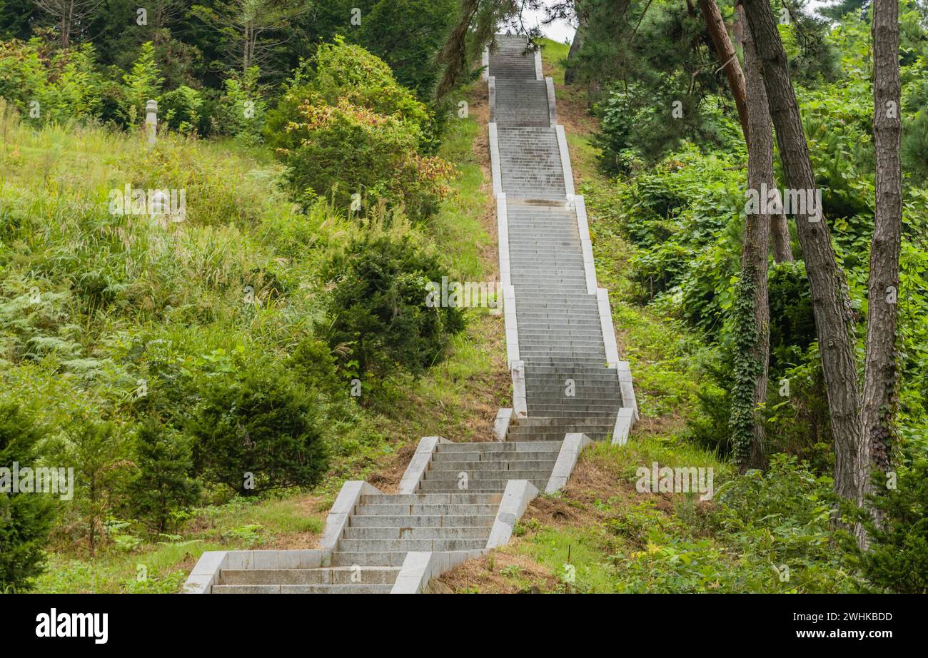 Lunga scalinata in cemento che conduce su una montagna in fitto bosco in un pomeriggio coperto nella Corea del Sud Foto Stock Lunga scalinata in cemento che conduce su una montagna in fitto bosco in un pomeriggio coperto nella Corea del Sud Foto Stock